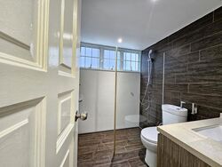 Dunearn Road (D11), Condominium #614438321